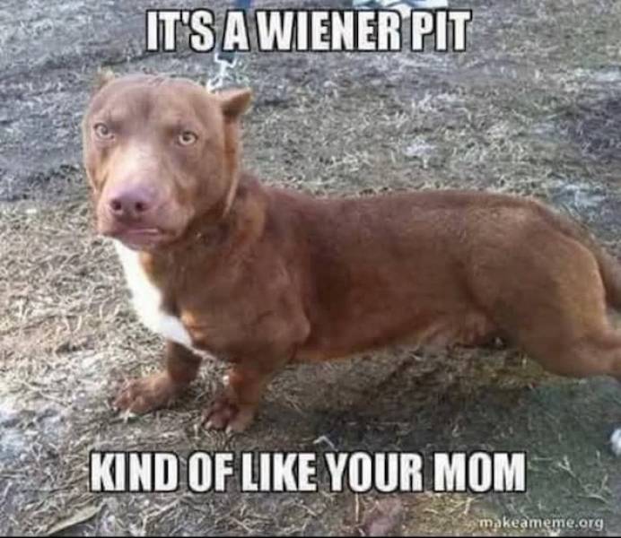 Dirty Dump For Dirty Minds