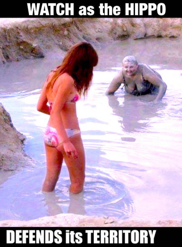 NSFW Memes To Add Some Spice To Your Life