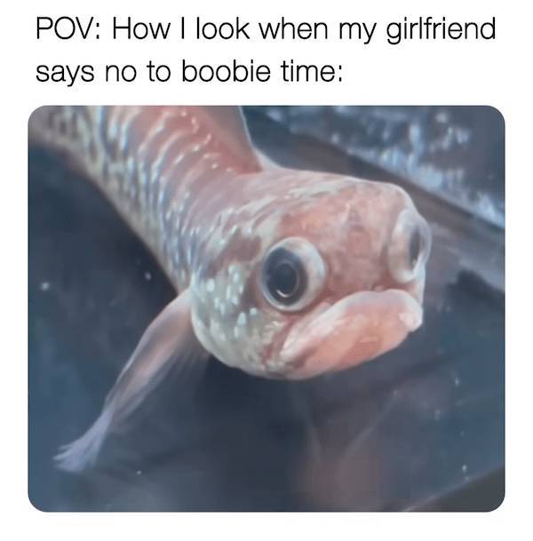 Sassy, Classy And A Bit Trashy