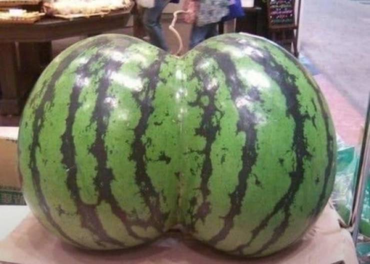 Sexy Food For Everyone