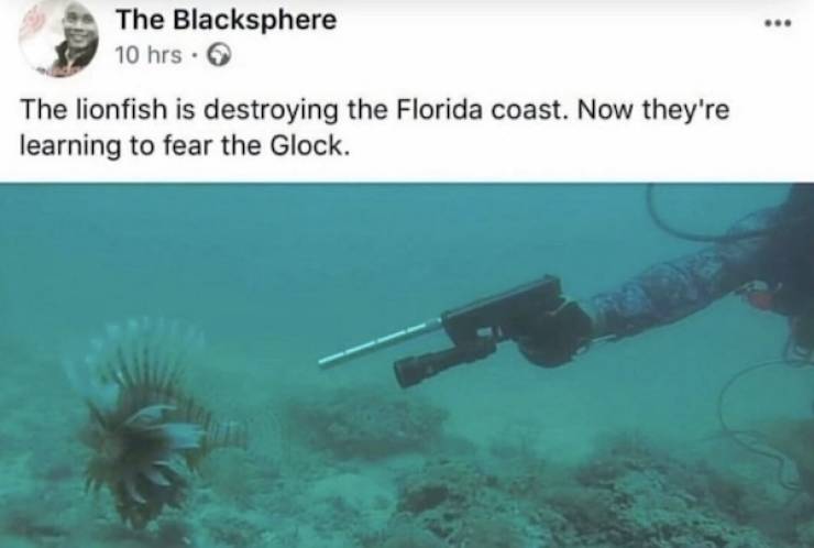 Dirty Dump For Dirty Minds