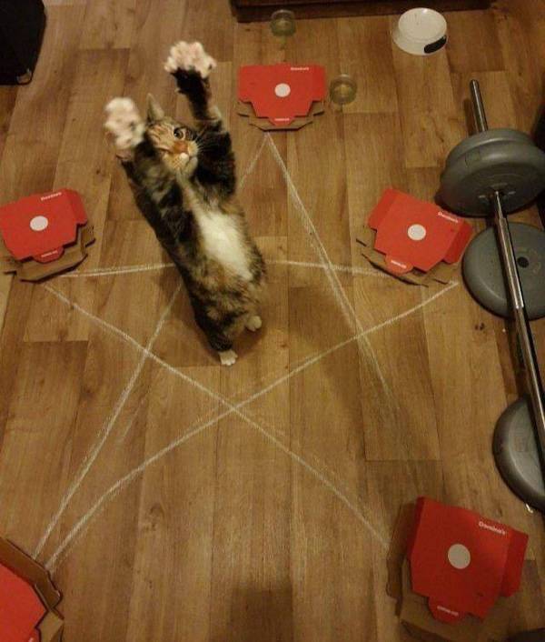 Dirty Dump For Dirty Minds