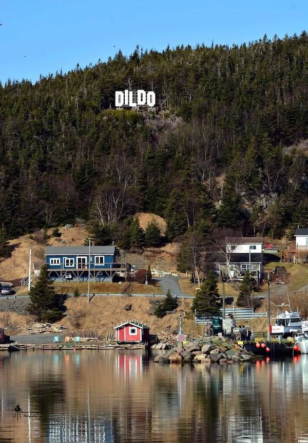 Dirty Dump For Dirty Minds