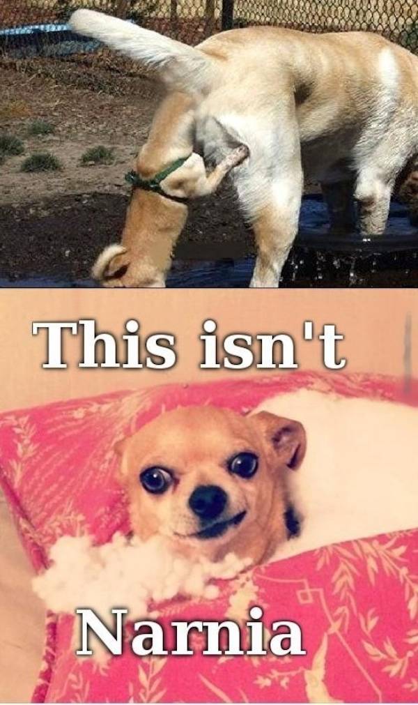 Dirty Minds Are Welcome!