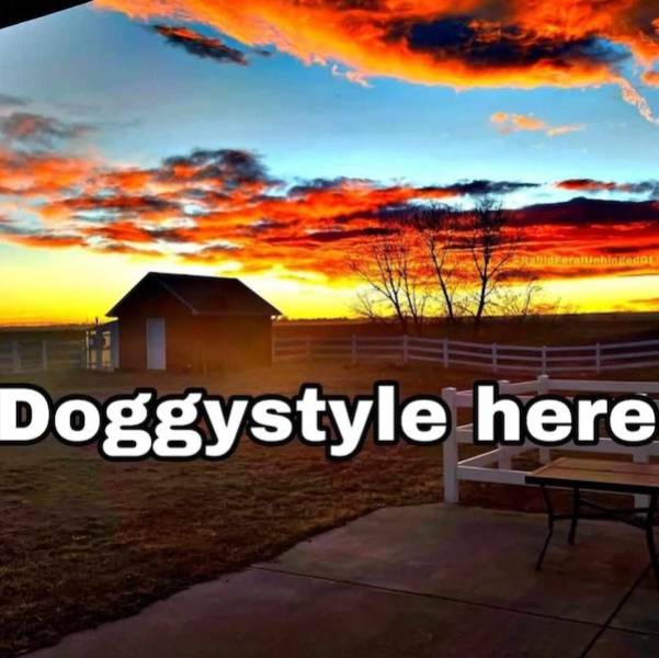 NSFW Memes To Add Some Spice To Your Life