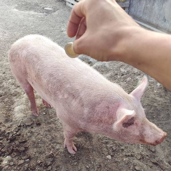 Dirty Minds Are Welcome!