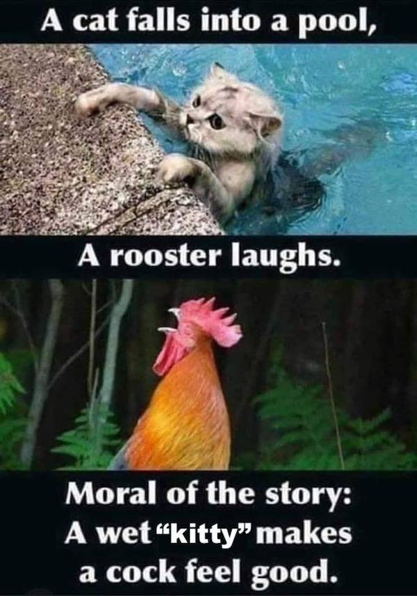 NSFW Laughs For Grown-Ups