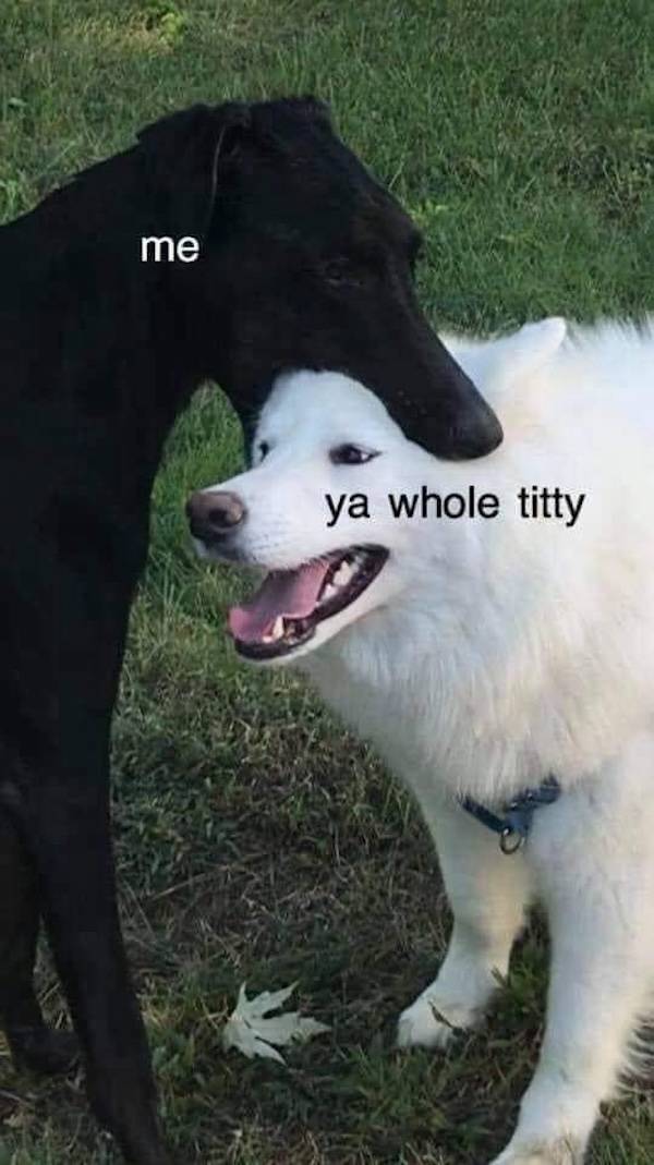 Dirty Dump For Dirty Minds