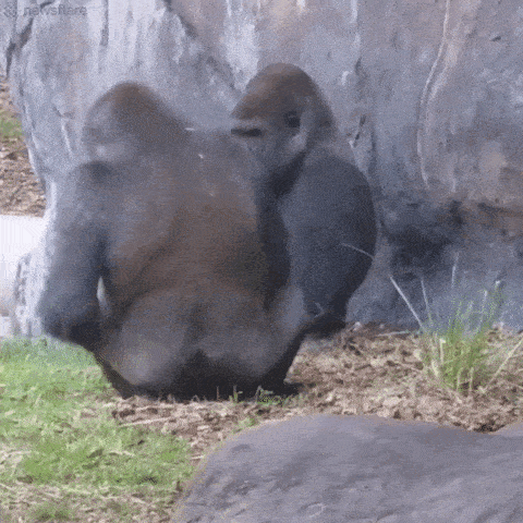 Dirty Minds Are Welcome!