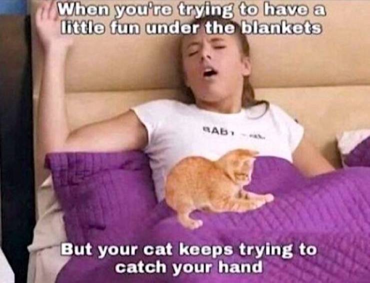 Mildly Arousing Memes