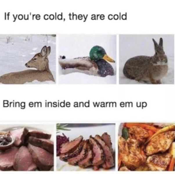 Whoa Whoa… Hold Up!