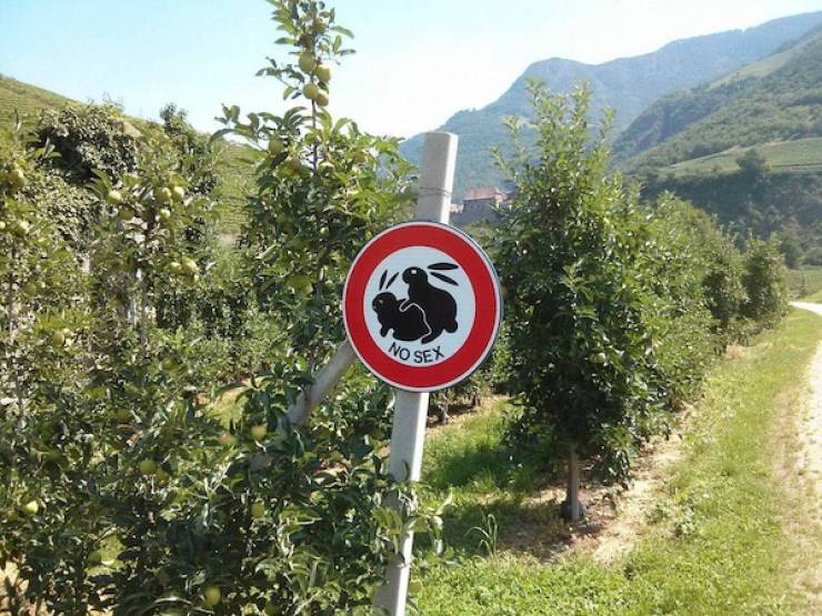 Dirty Minds Are Welcome!