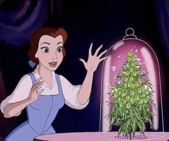 Dirty Minds Are Welcome!