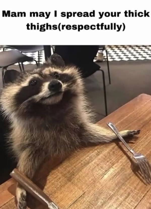 NSFW Memes To Add Some Spice To Your Life