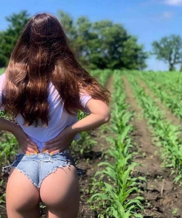 Make These Shorts Shorter!