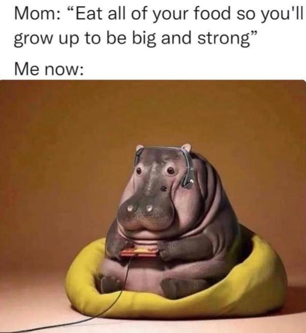 Beer-a-FULL Memes For Everyone!