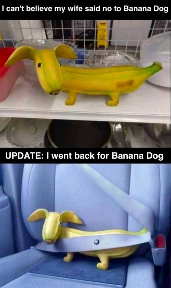 Beer-a-FULL Memes For Everyone!