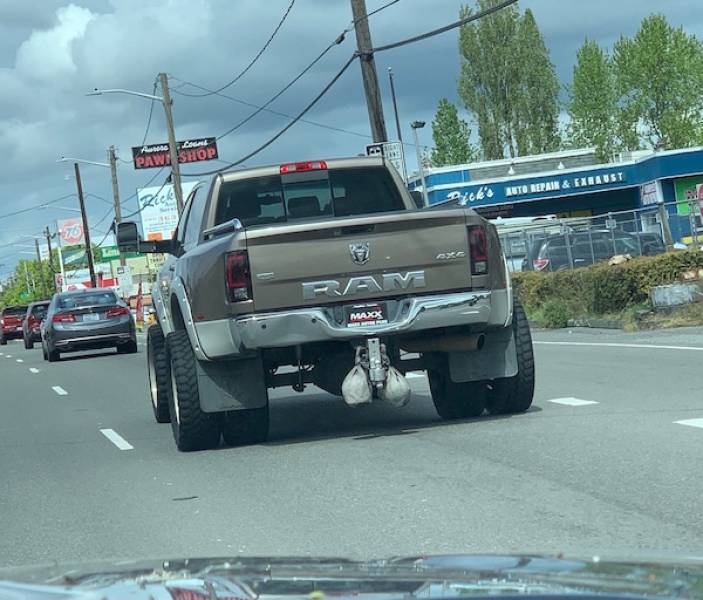 Dirty Dump For Dirty Minds