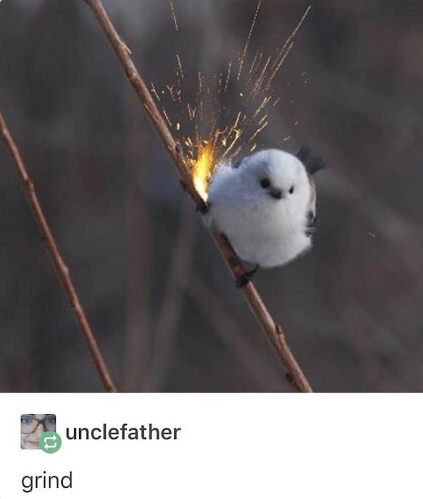 Beer-a-FULL Memes For Everyone!