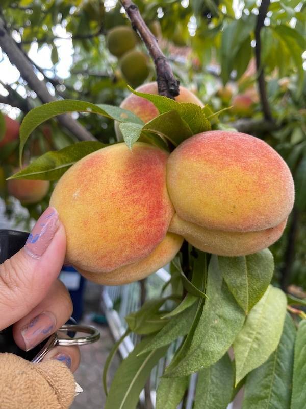 Dirty Dump For Dirty Minds