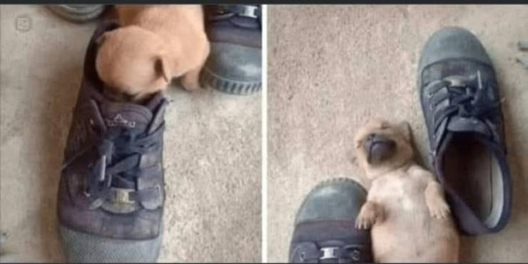 Dirty Dump For Dirty Minds