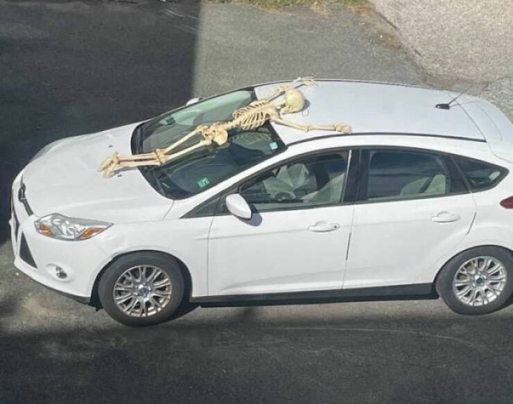 Dirty Dump For Dirty Minds