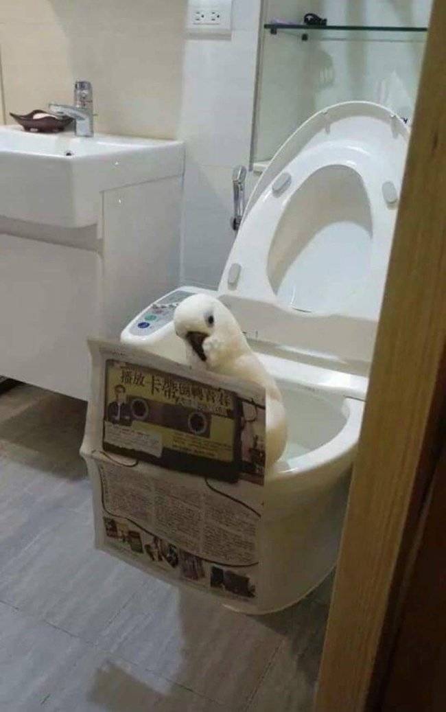 Dirty Dump For Dirty Minds