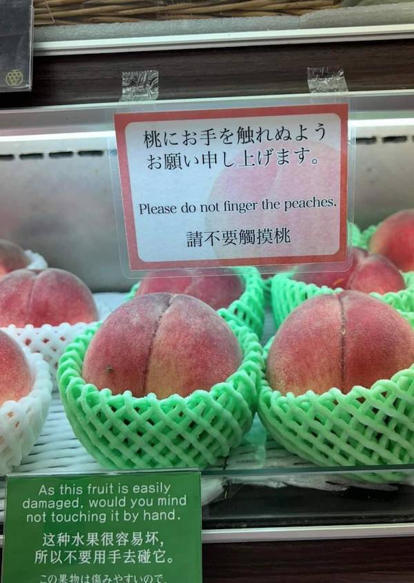 Dirty Dump For Dirty Minds