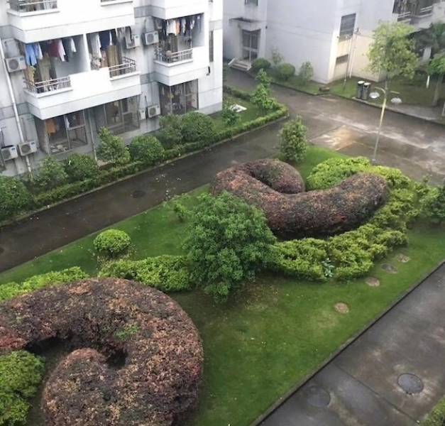 Dirty Dump For Dirty Minds