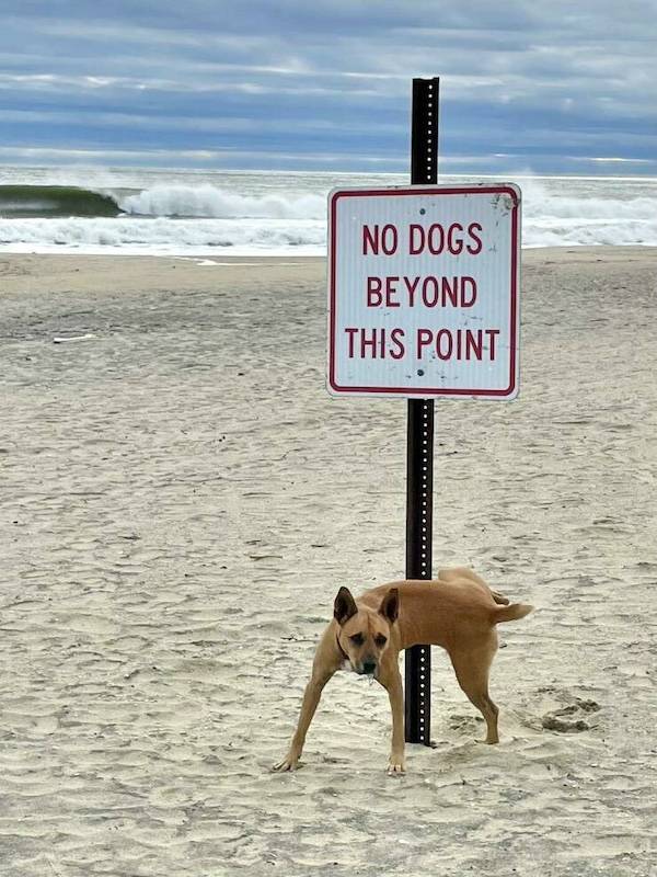 Dirty Minds Are Welecome!