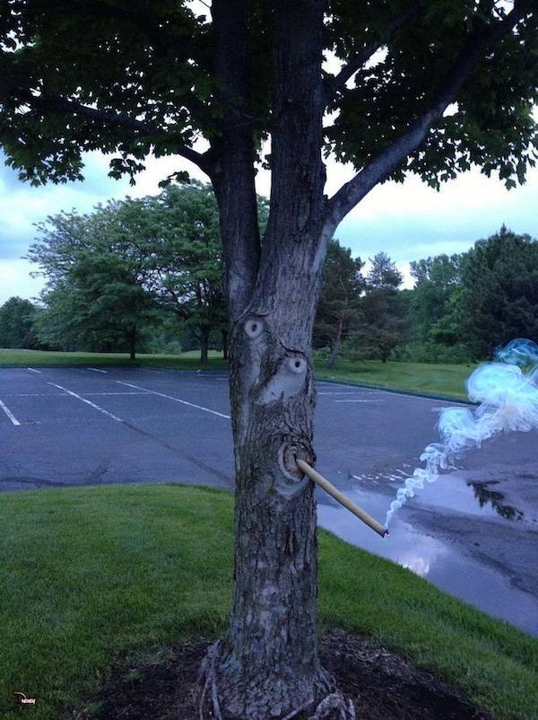 Dirty Minds Are Welecome!