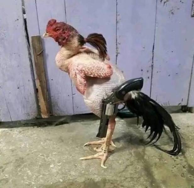 Dirty Minds Are Welcome!