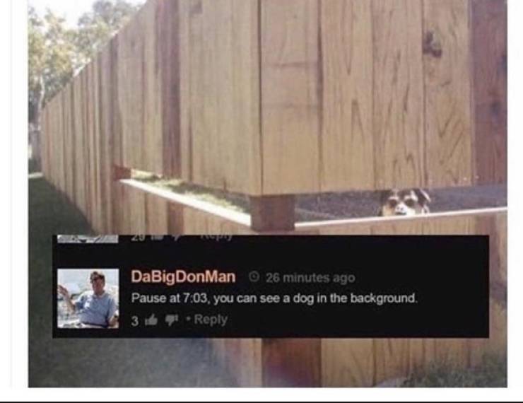 PornHub’s Comments Are Always Wild!