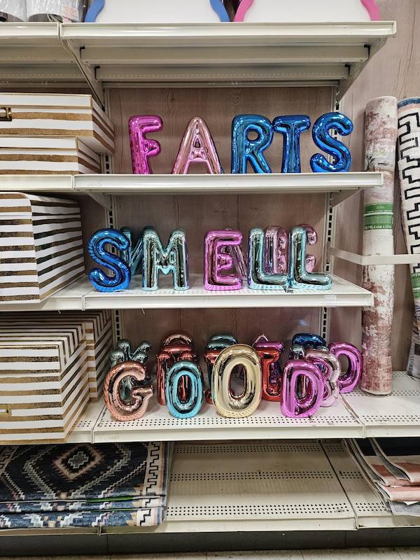 Dirty Dump For Dirty Minds