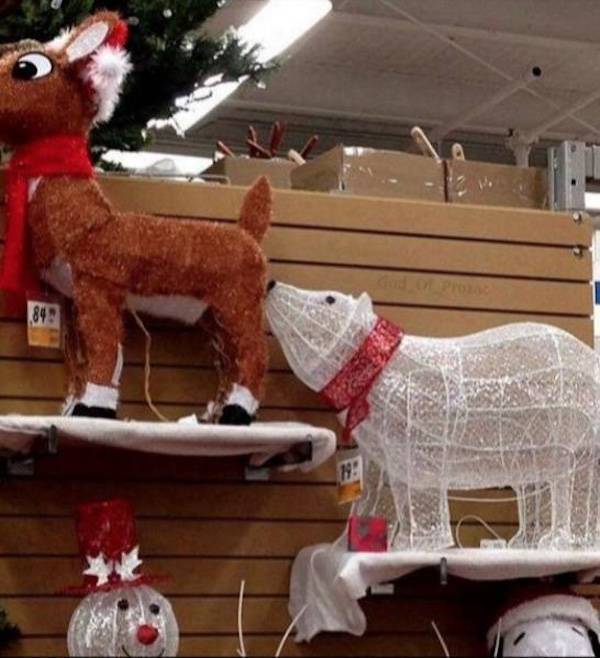 Dirty Dump For Dirty Minds