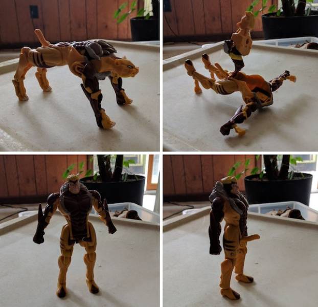 Dirty Minds Are Welecome!