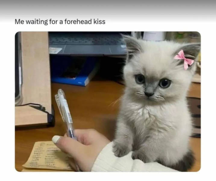 Flirty Memes To Annoy Your Better Half