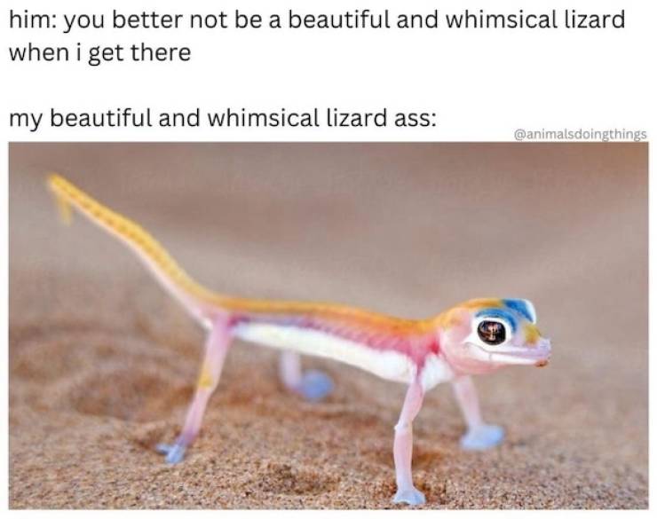 Flirty Memes To Annoy Your Better Half