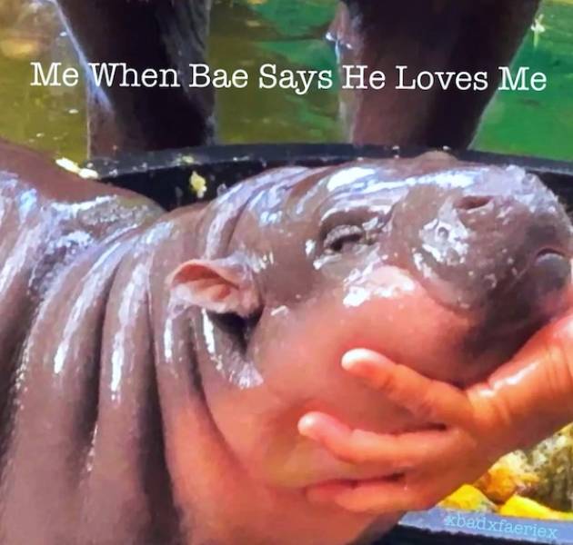 Flirty Memes To Annoy Your Better Half