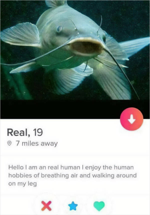 Swipe Right for Chaos: Tinder Tales You Can’t Unsee