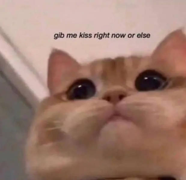 Flirty Memes To Annoy Your Better Half