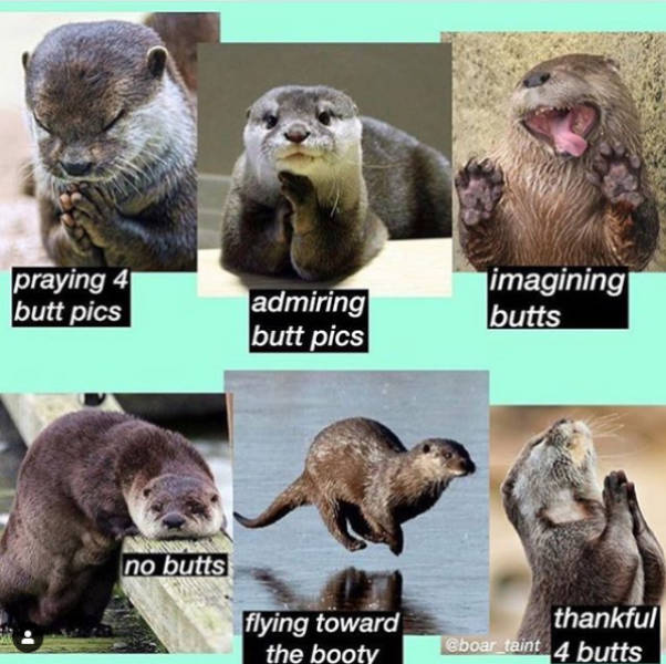 Flirty Memes To Annoy Your Better Half