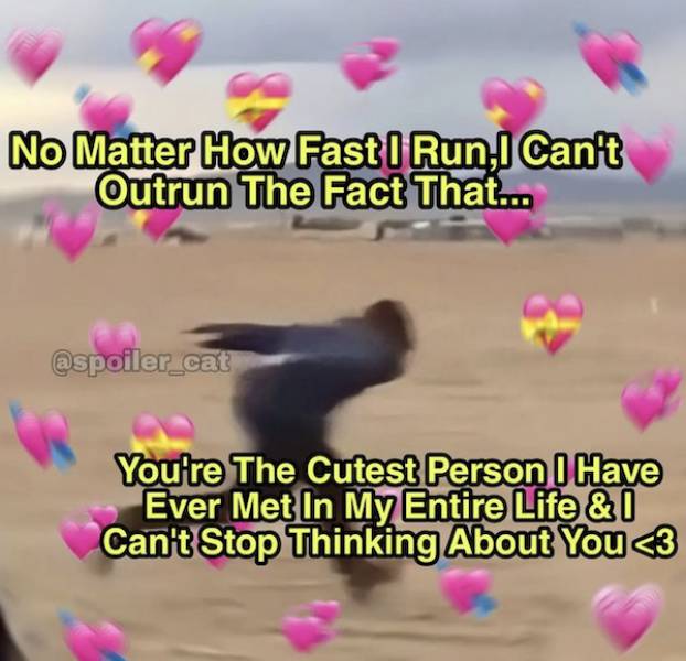 Flirty Memes To Send Your Better Half