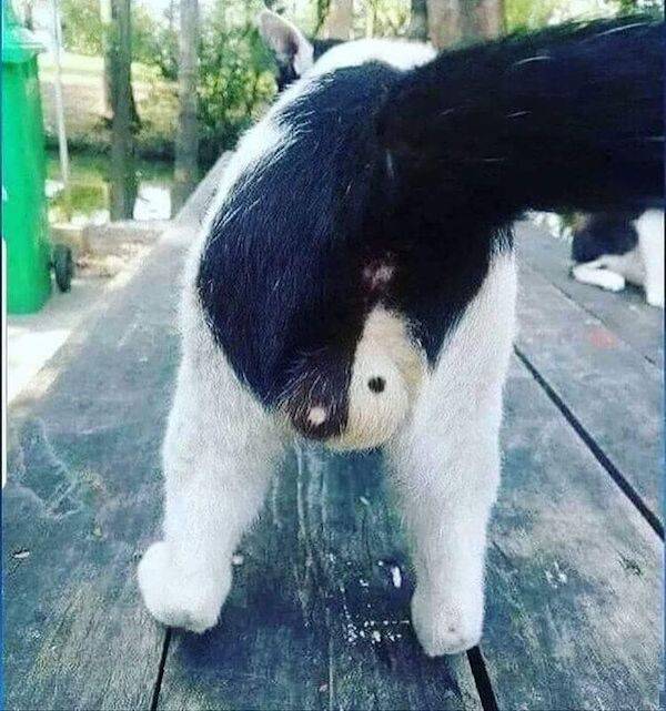 Dirty Dump For Dirty Minds