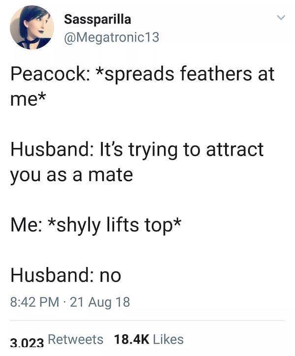 Flirty Memes To Annoy Your Better Half