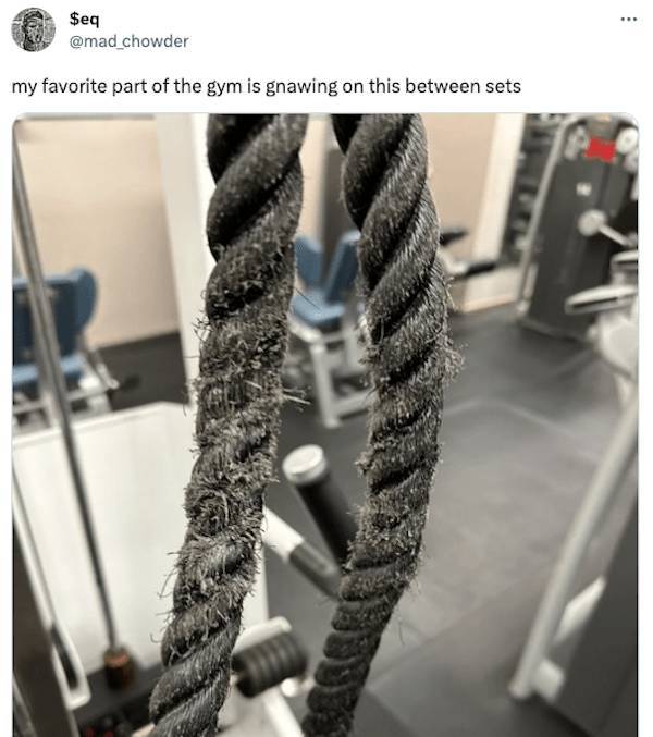 Dirty Minds Are Welcome!