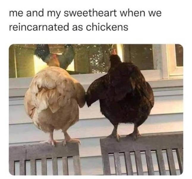 Flirty Memes To Send Your Better Half