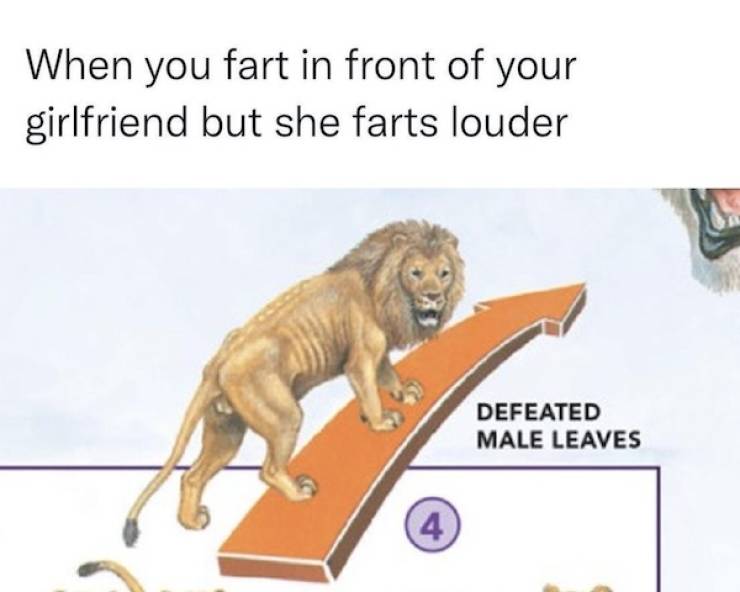 Flirty Memes To Send Your Better Half