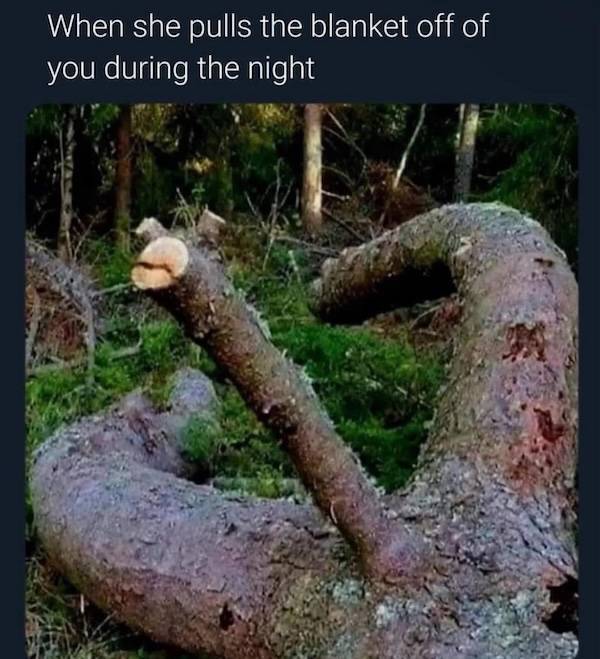 Flirty Memes To Send Your Better Half