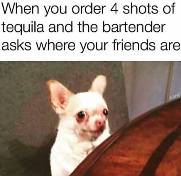 Drinking Never Ends!